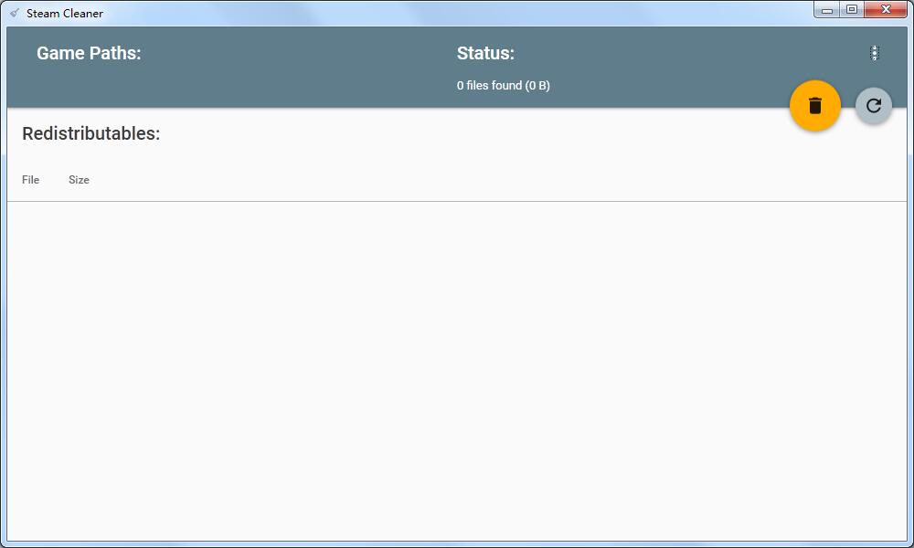Steam Cleaner