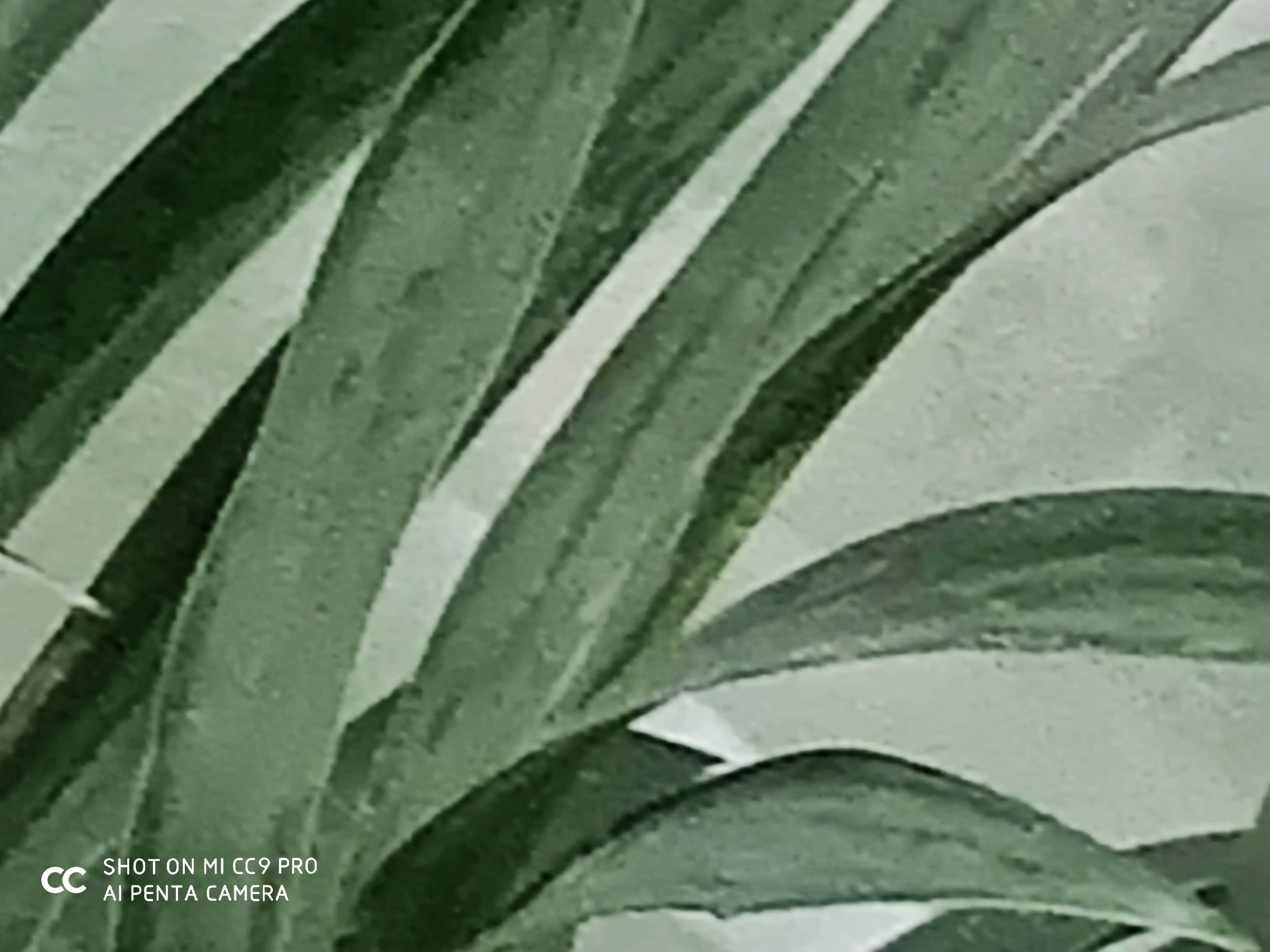 小米CC9 Pro怎么样？