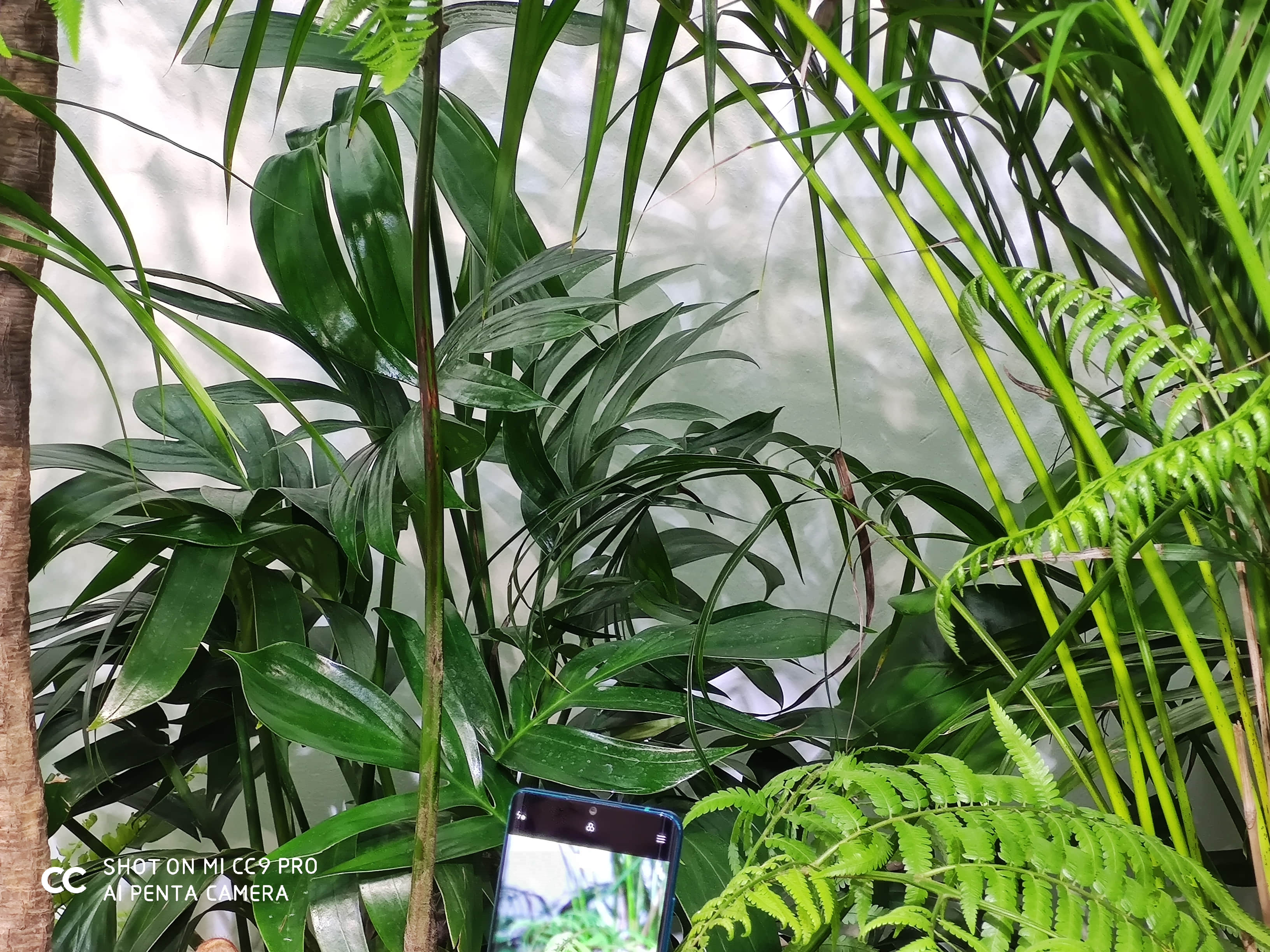 小米CC9 Pro怎么样？