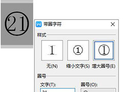 如何在wps文字中插入20以上的圆圈数字编号？