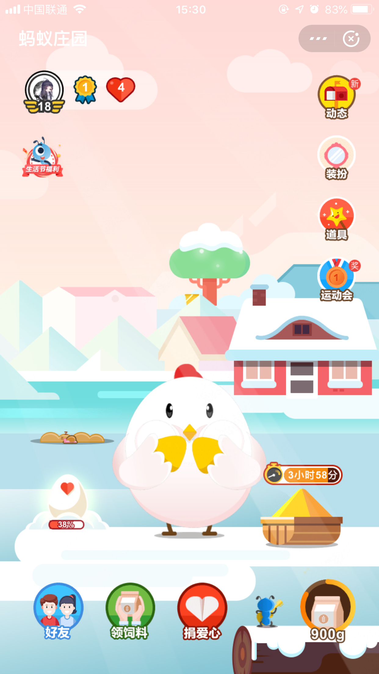 支付宝怎么喂鸡比较快?