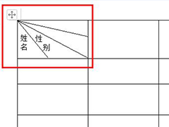 wps文字怎么绘制斜线表头？wps文字绘制斜线表头的方法