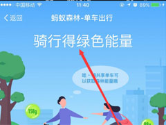 支付宝蚂蚁森林能量怎么获取？