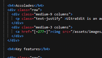 IDM UltraEdit