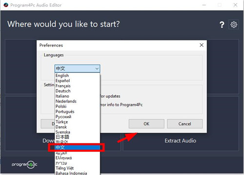 Program4Pc Audio Editor