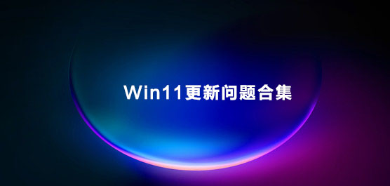 Win11更新问题怎么解决？Win11更新问题合集