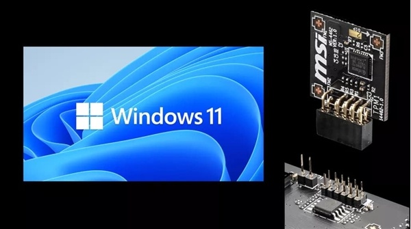 Win10/Win11质量更新