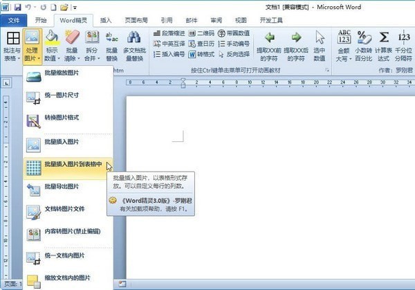 罗刚君Word精灵