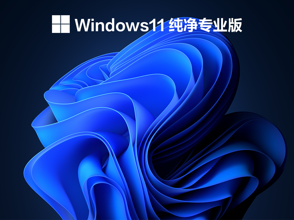 Windows11纯净专业版 V2021.11