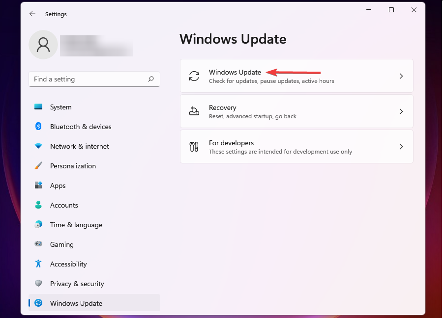 头号玩家 Win11 ioT企业精简版