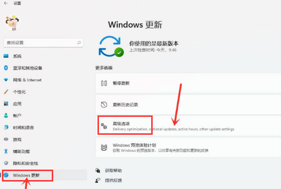 Win11如何开启传递优化功能?