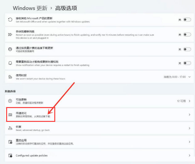 Win11如何开启传递优化功能?