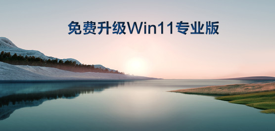 Win10升级Win11需要付费么？免费升级Win11专业版
