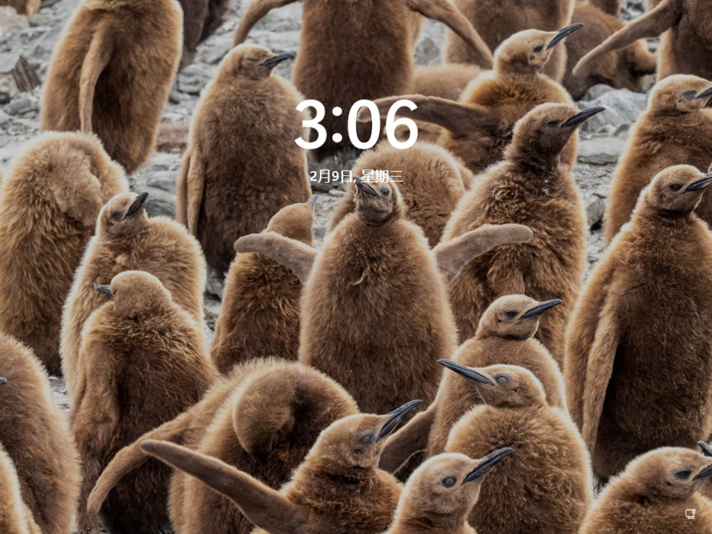 Win11 22000.493 官方最新版 V2022.02