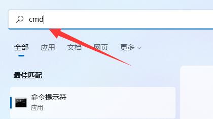 Win11 64位最新正式版系统纯净