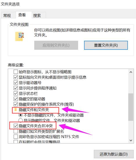 Win11文件夹选项在哪里打开?