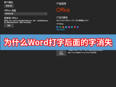 为什么word文档打字,后面的字自动消失？