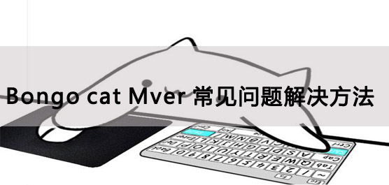 Bongo cat Mver常见问题有哪些？Bongo cat Mver常见问题解决方法