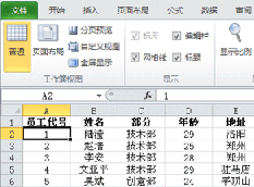 Excel软件中如何进行活动窗口冻结的方法分享