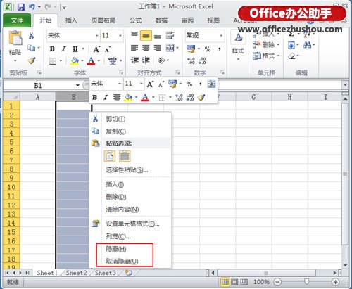 Excel如何将表格中某行或列隐藏的方法教学