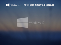 Win10 1809 稳定专业版 V2022.11