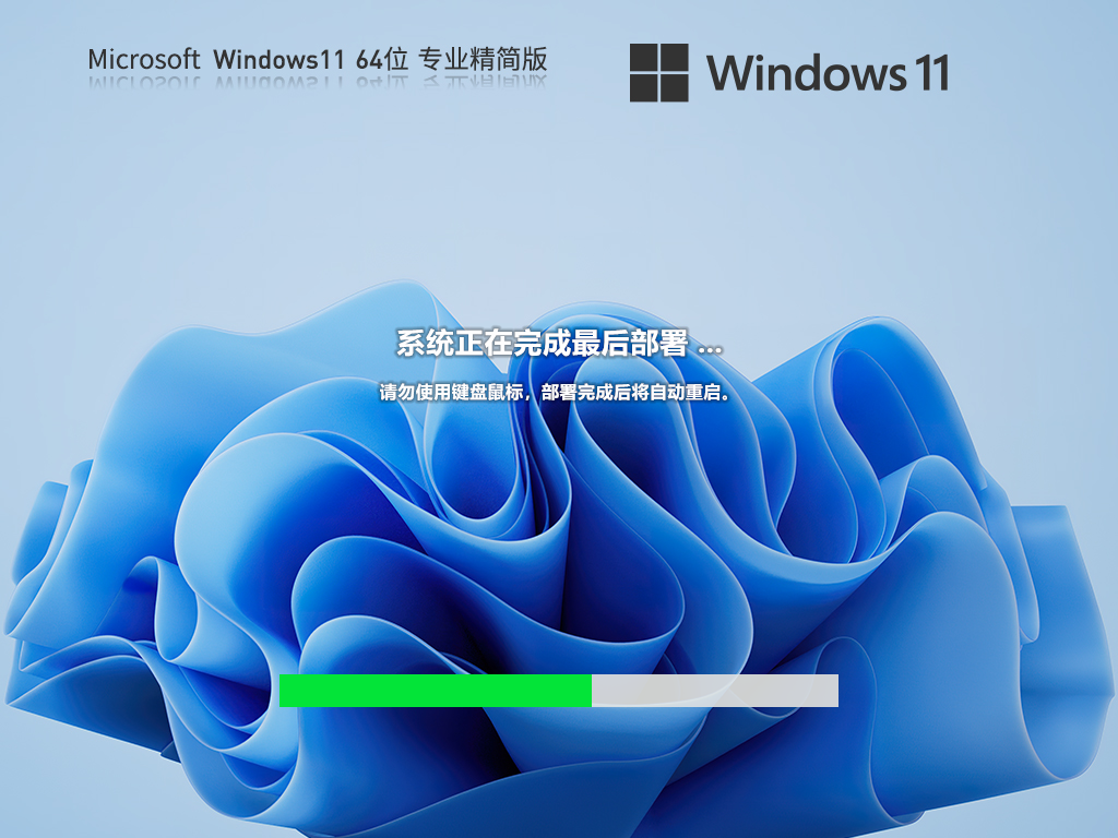 Windows11 22H2 64位 专业精简版 V2023