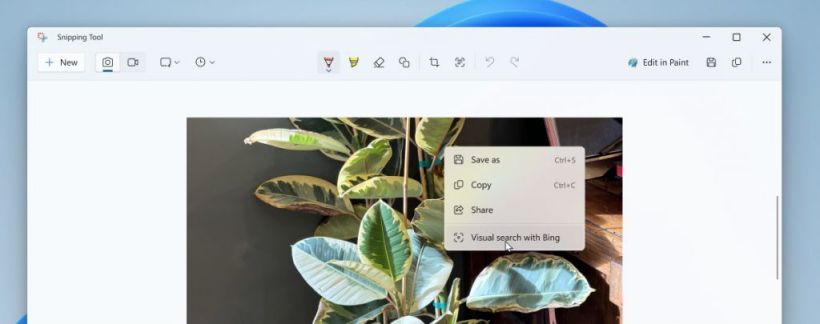 微软升级 Win11 截图工具：调用 Bing 