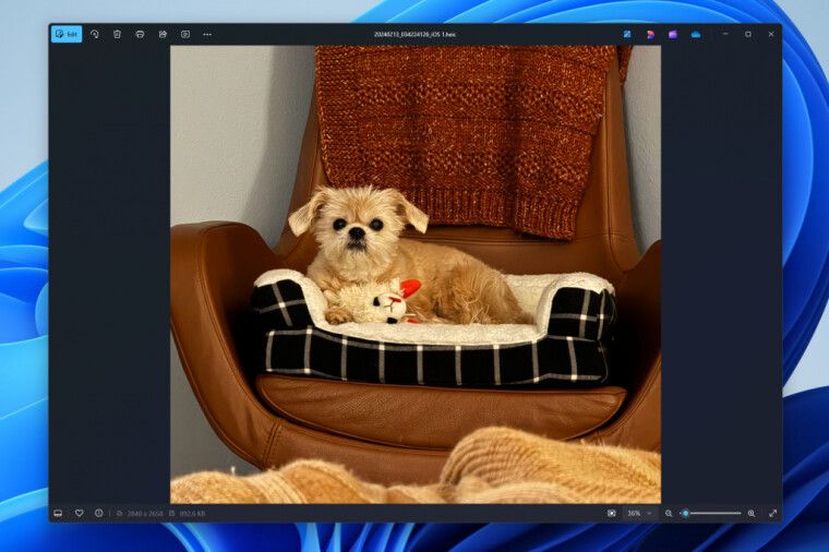 微软 Win11 照片更新：改进查看器和导