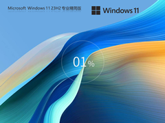 Windows11 23H2 64位 精简优化版