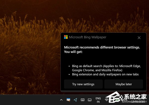 Win11 用户反馈微软 Bing 壁纸应用“小