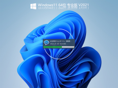 Windows11 Build22000.51简体中文版 V2021