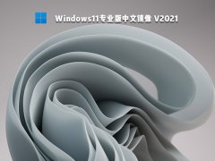 Windows11专业版中文镜像 V2021