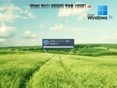 Windows11 官方专业版 V22000.258