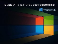 MSDN 21H2  loT  LTSC 2021 企业通用精简版