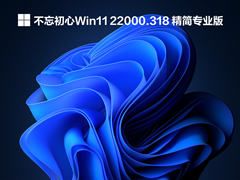 Windows11 22000.318 64位四合一精简版
