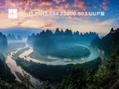Win11 21H2 X64 22000.593 UUP版 V2022.04