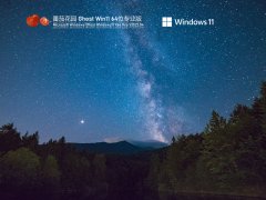 番茄花园 Ghost Win11 64位 U盘专业版 V2022.04