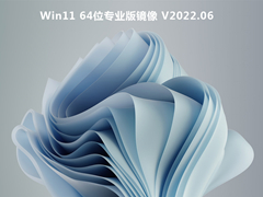 Win11 64位专业版镜像 V2022.06