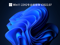 Win11 22H2专业版镜像 V2022.07