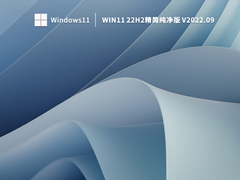 Win11 22H2精简纯净版 V2022.09