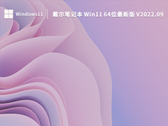 戴尔笔记本 Win11 64位最新版 V2022.09