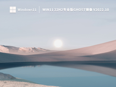 Win11 22H2专业版Ghost镜像 V2022.10