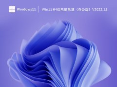 Win11 64位电脑系统（办公版）V2022.12