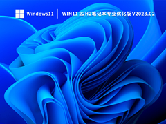 Win11 22H2笔记本专业优化版 V2023.02