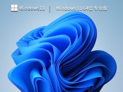 Win11 64位专业版镜像 V2023