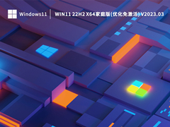 Win11 22H2 X64家庭版 2023.03
