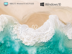 电脑公司 Windows10 64位 高效装机版 V2023.05