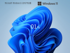 Windows11 22H2 最新官方正式版