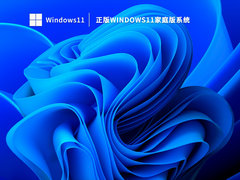 正版Windows11家庭版系统