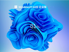 Windows11 64位企业版